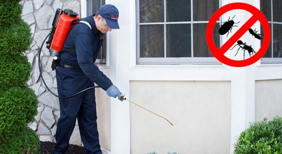 Bartın Böcek İlaçlama böcek ilaçlama ve haşere kontrolü — ilaclama-tr.com